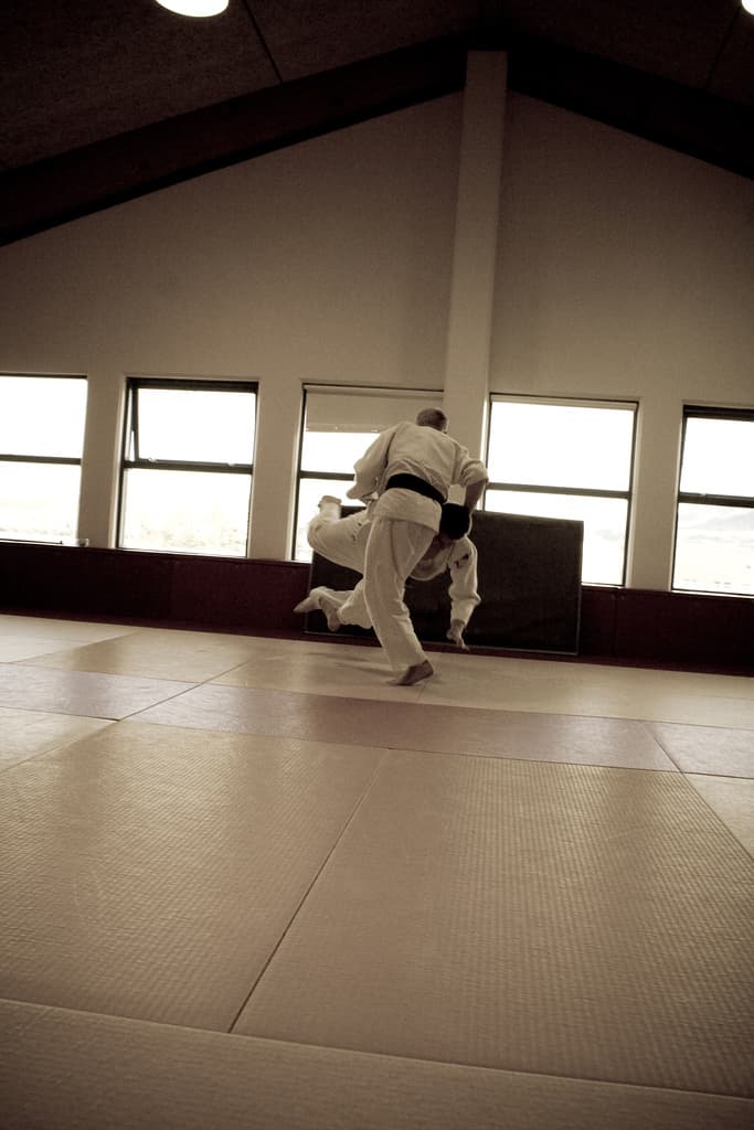 Crash mats and tatami in a high-windowed training hall.